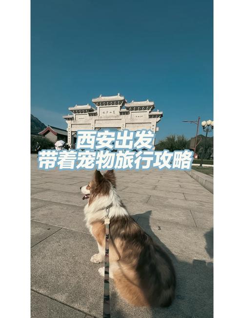西安少林寺自驾游攻略