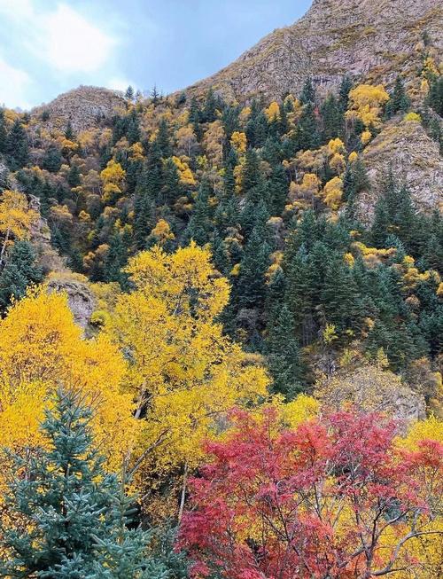 国庆呼市周边旅游景点