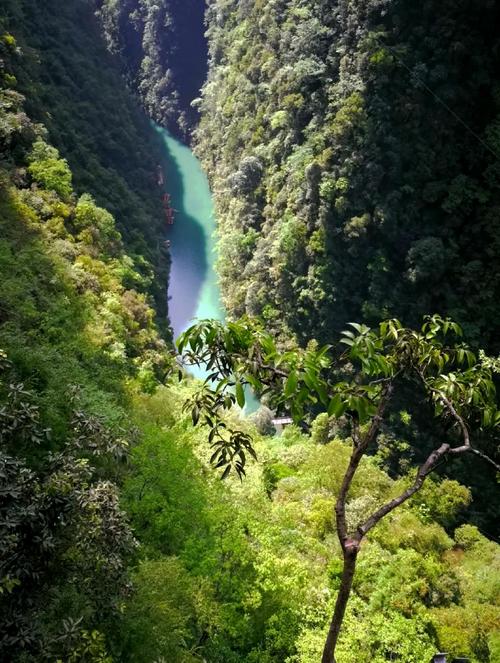 成都出发到恩施自驾游