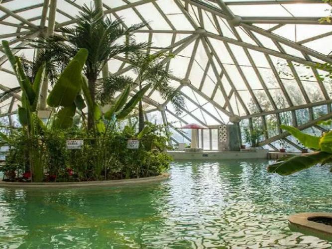 广川大酒店温泉门票