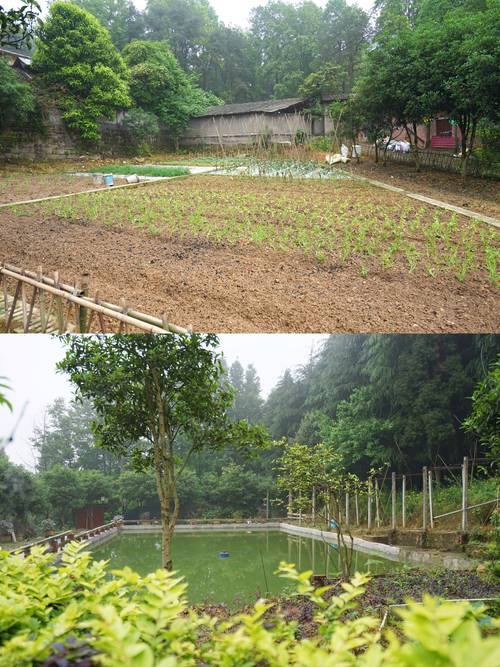 重庆周边农家乐自驾游