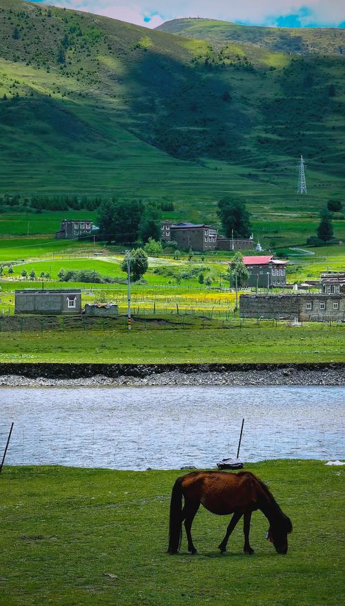 新都桥返回重庆自驾游