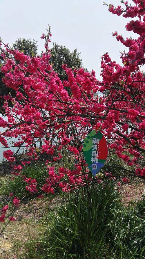 黄石自驾游武宁花源谷