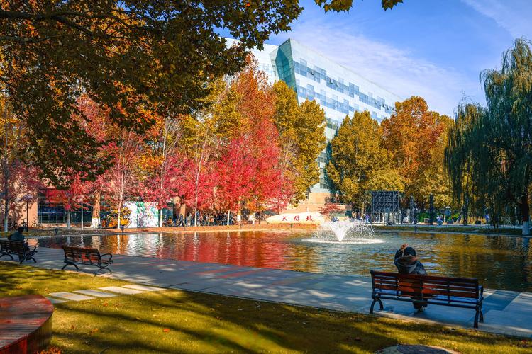 中国传媒大学周围景点