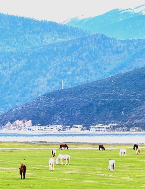 香格里拉附近旅游景点