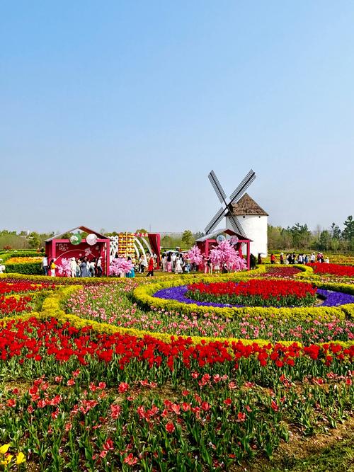 武汉周边看花景点推荐