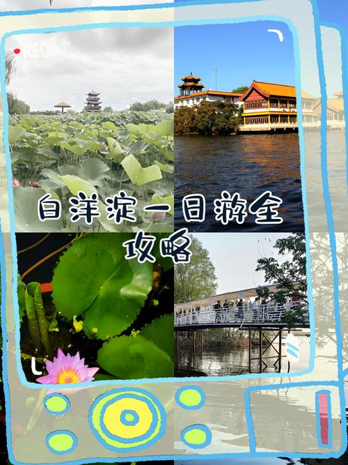 沧州西到白洋淀自驾游