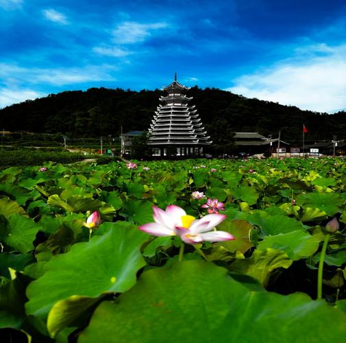 新晃附近周边旅游景点