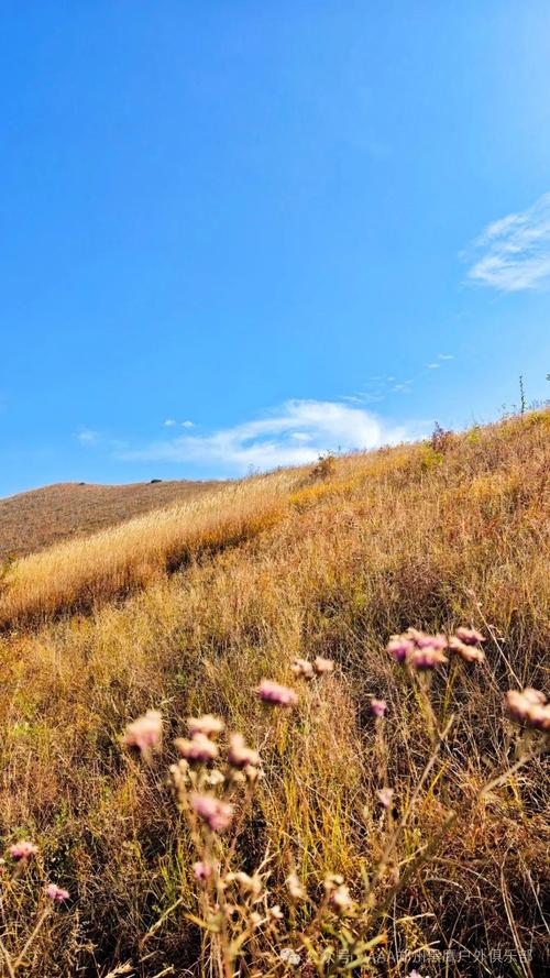 偃师黄金大草原自驾游