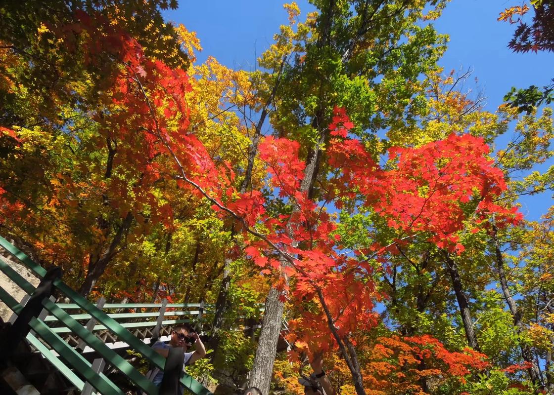 桓仁周边旅游景点大全