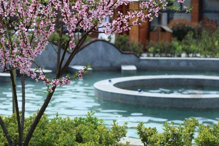 大吉温泉度假村酒店