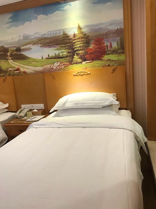 维也纳酒店会查房吗