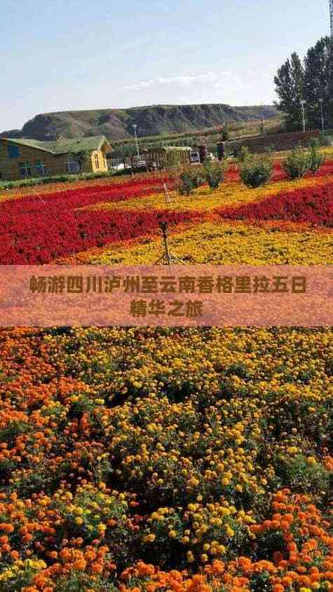 泸州至香格里拉自驾游