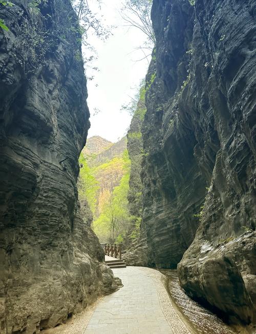 野山坡有哪些著名景点