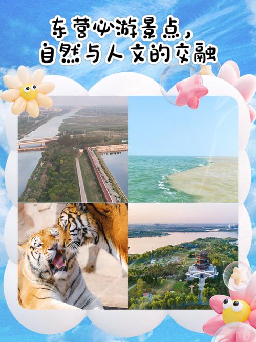 东营的旅游景点有什么