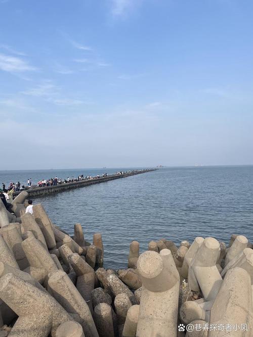 东营的旅游景点有什么