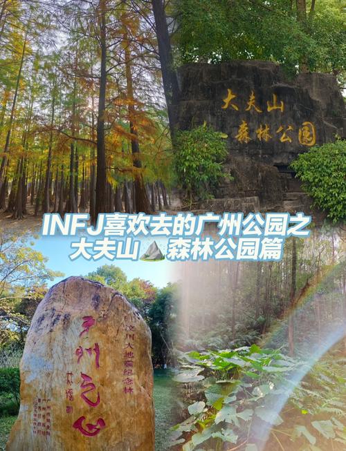 大夫山森林公园自驾游