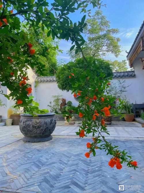 河南农家小院旅游景点