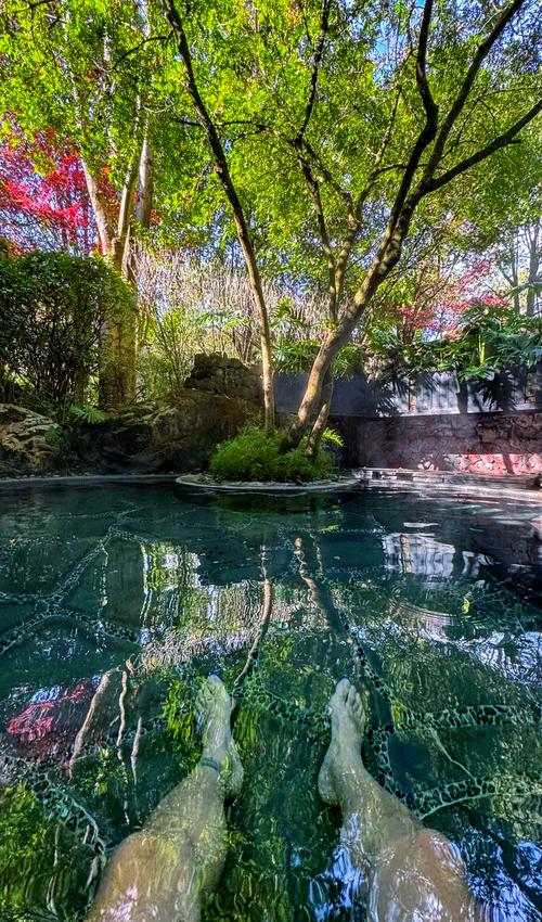 腾冲悦椿温泉村酒店