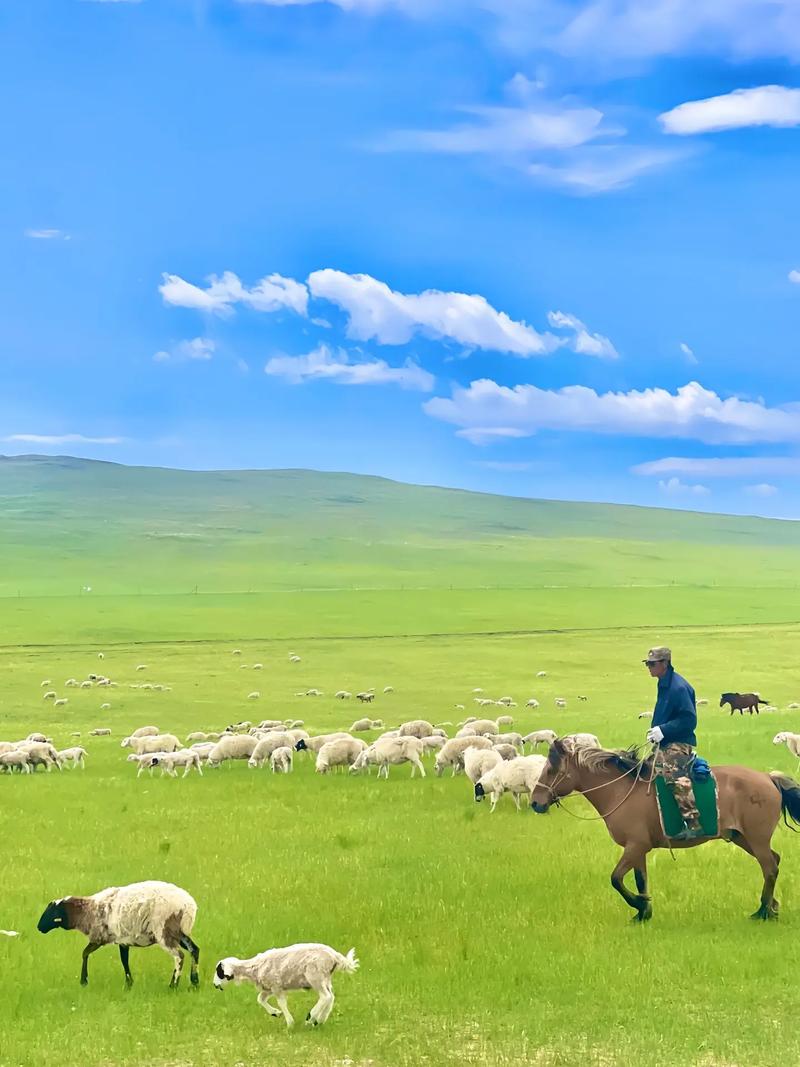 库伦贝尔大草原自驾游