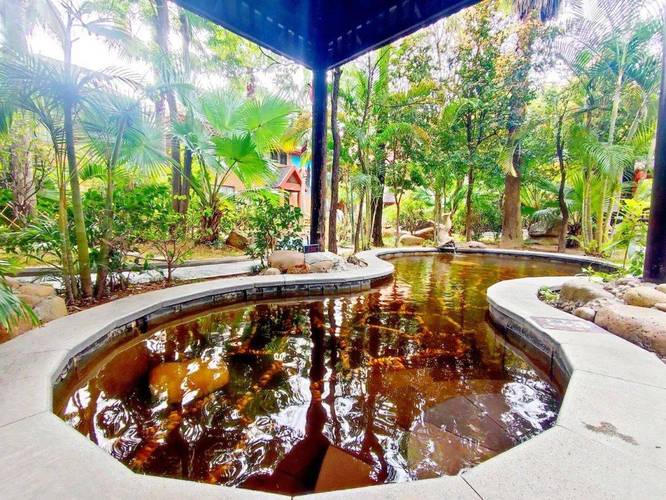 丰顺温泉酒店哪个好