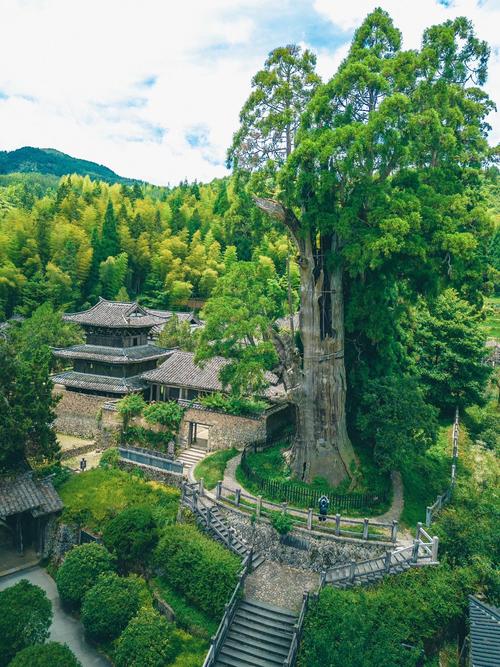 丽水旅游必去十大景点