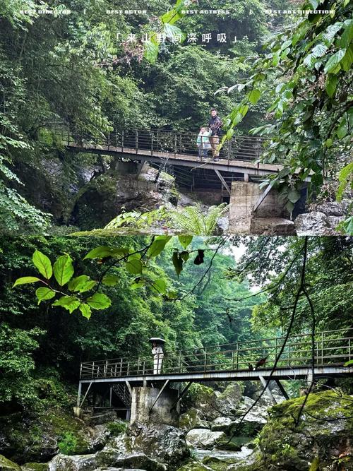 雅安龙苍沟自驾游攻略