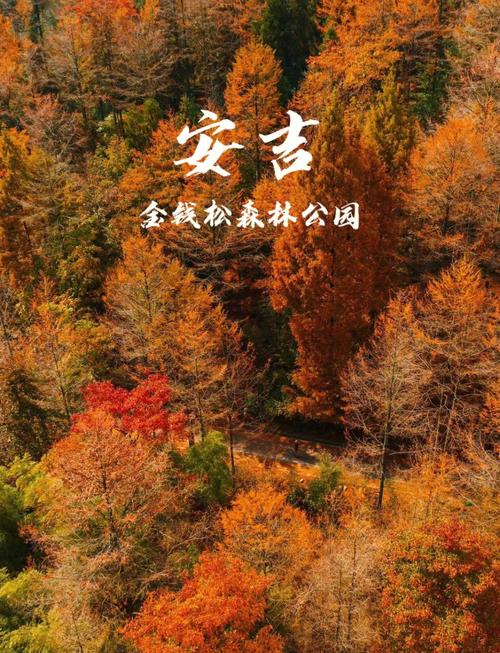 中国十一旅游景点推荐