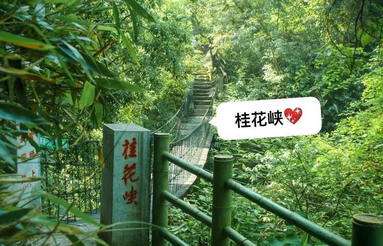 长沙到浏阳周洛自驾游