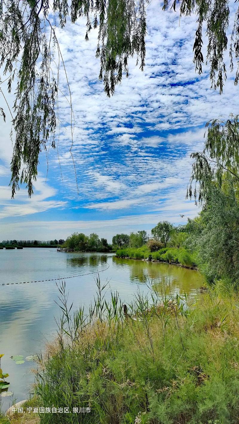 银川风景区有哪些景点