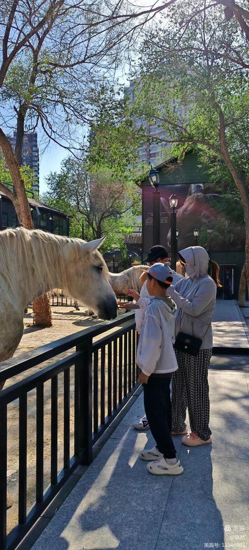 乌鲁木齐市野马酒店