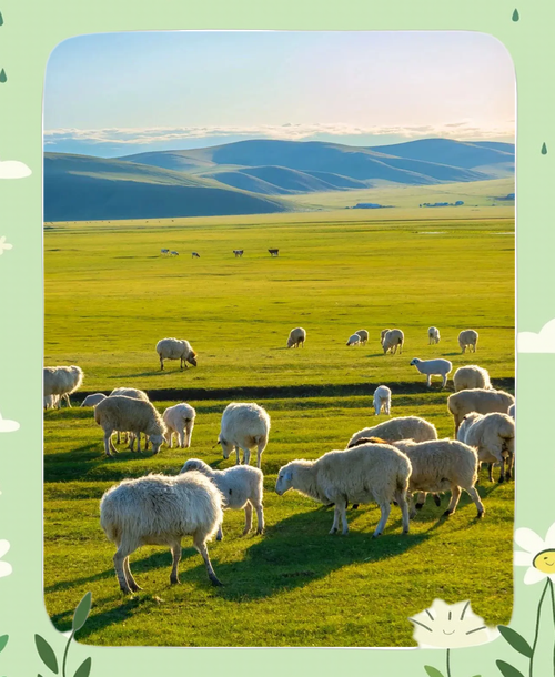 济南到内蒙草原自驾游