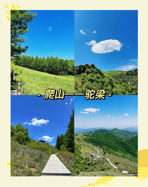 沧州到驼梁自驾游攻略