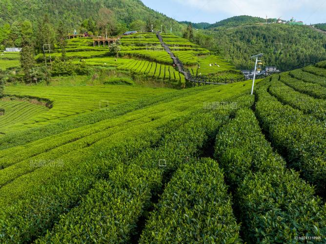 宣恩旅游景景点五家台