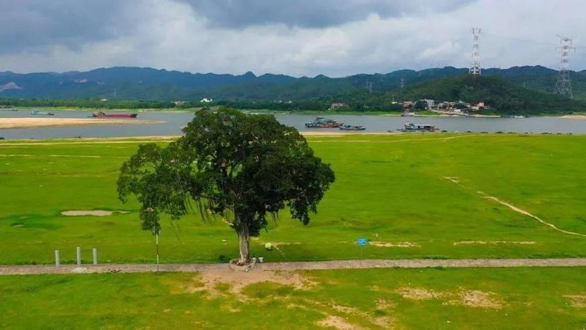 清远海边旅游景点大全