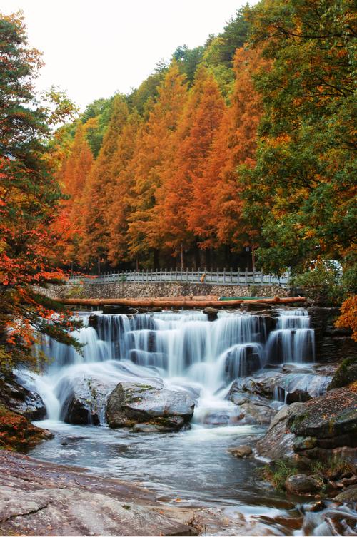 河南看红叶的旅游景点