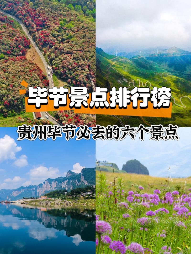 8月毕节旅游景点大全