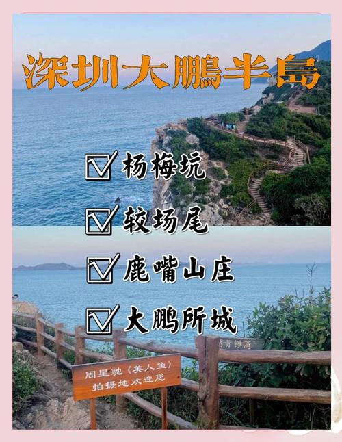 大鹏较场尾自驾游攻略