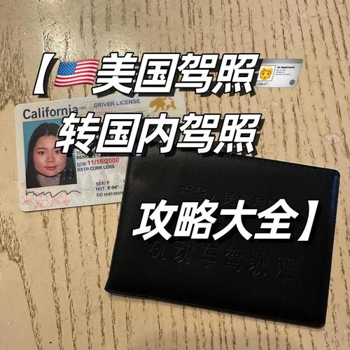 波士顿自驾游中国驾照