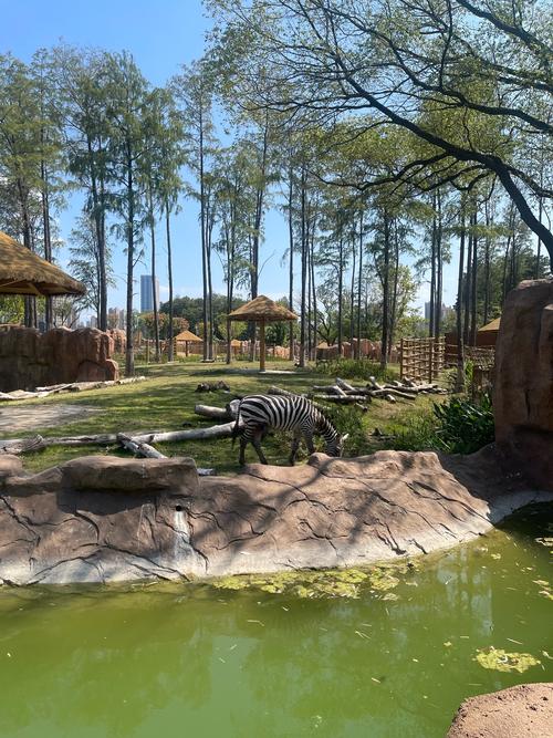 武汉动物园自驾游攻略