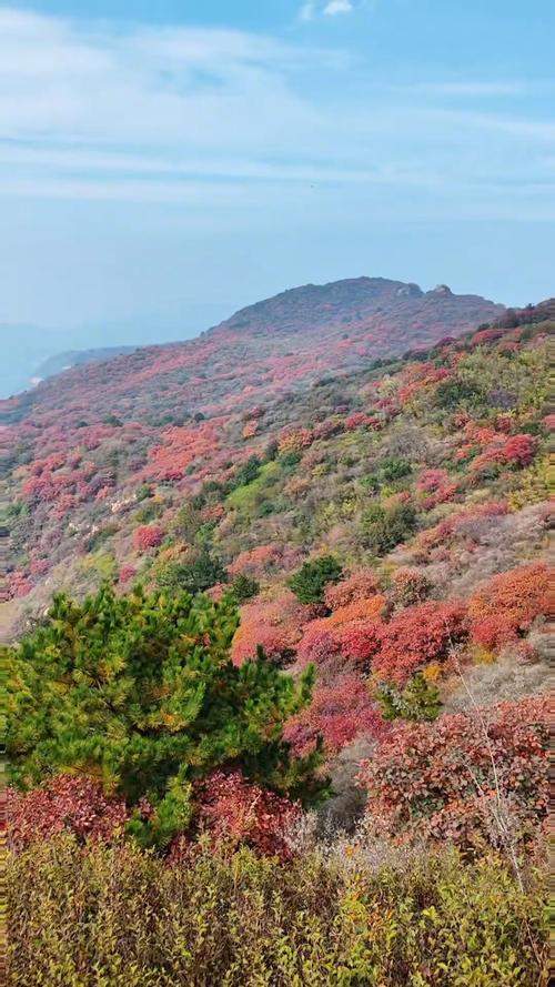 河北看红叶的旅游景点
