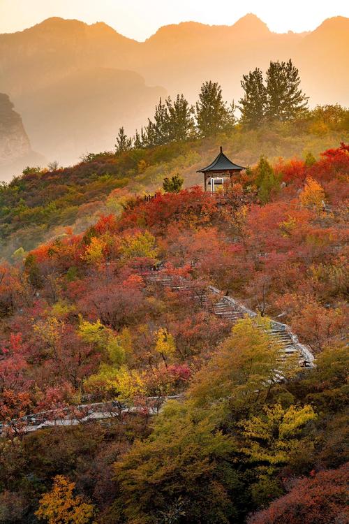河北看红叶的旅游景点