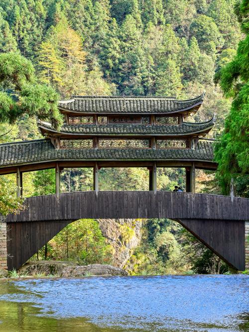 缙云景宁旅游景点大全