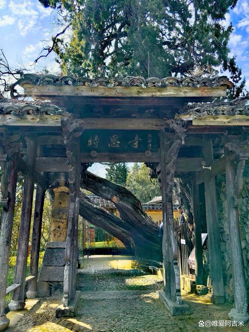 缙云景宁旅游景点大全