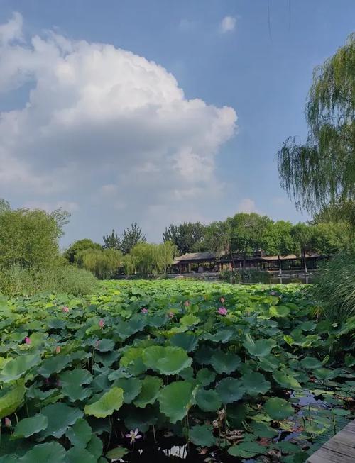天津国庆周边旅游景点