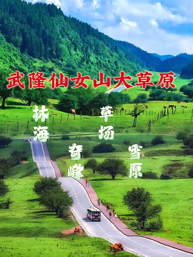 武隆仙女山自驾游门票