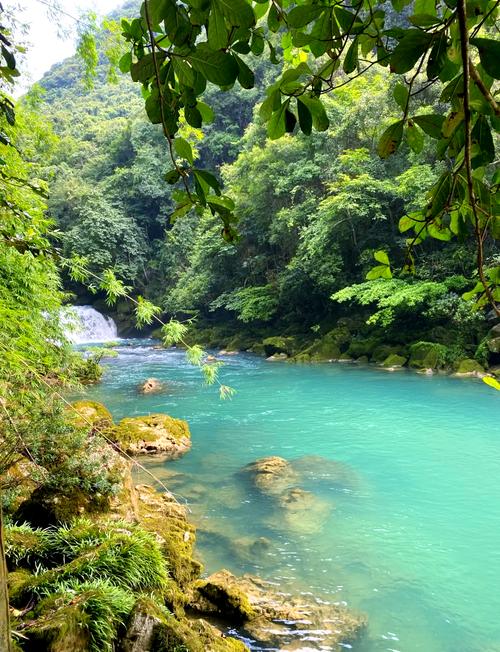 重庆到茂兰自驾游攻略