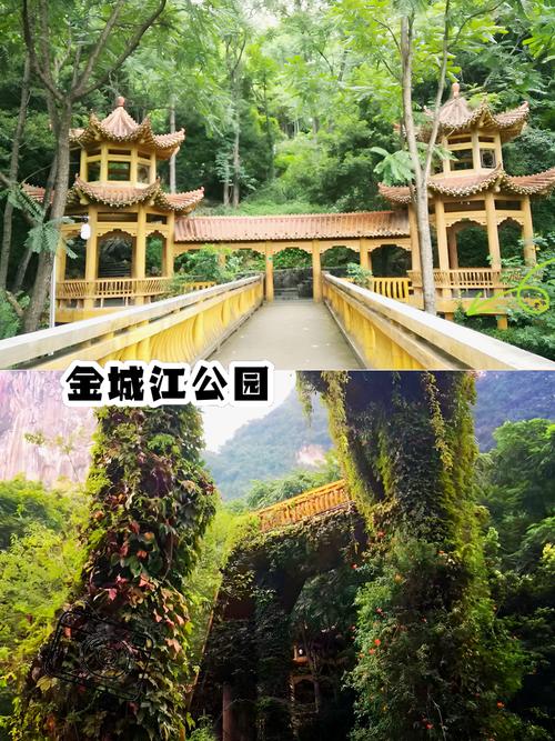 金城江有什么旅游景点