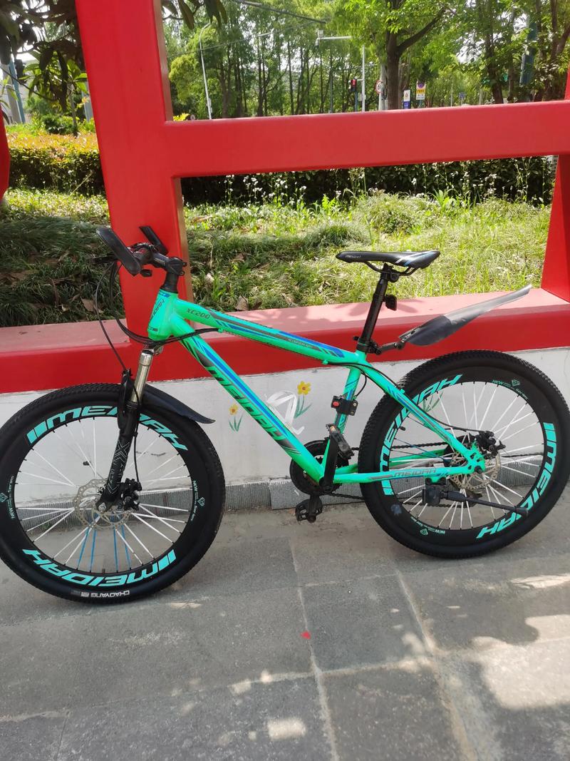 户外自驾游需要自行车