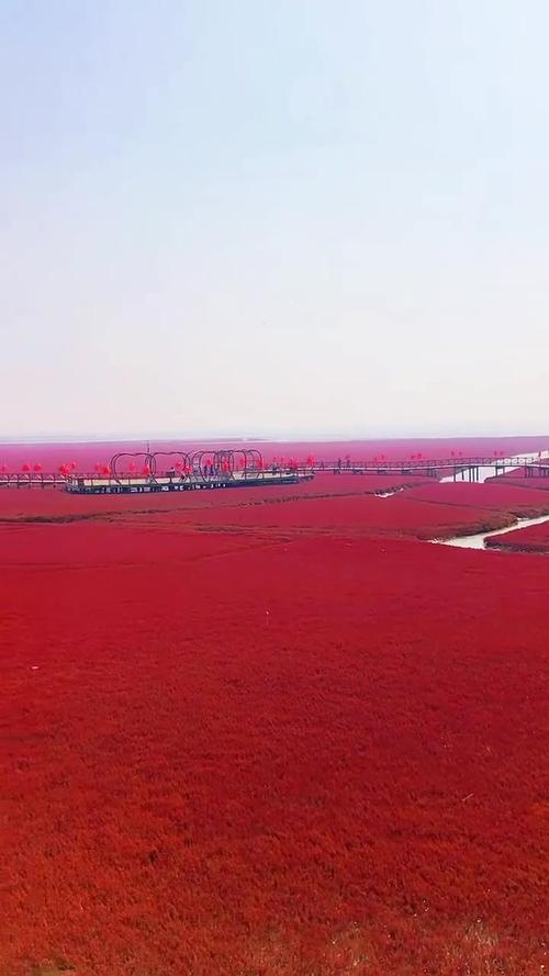 盘锦红海滩自驾游9月